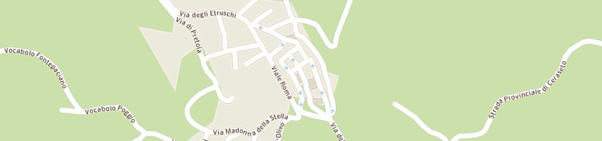 Mappa della impresa life di ferrini e lissi snc a PACIANO