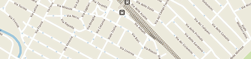 Mappa della impresa alimentari im sas di iltchova mariana a LADISPOLI