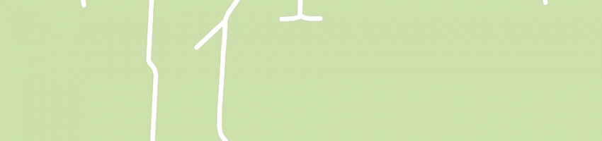 Mappa della impresa girotto franco a ZERO BRANCO