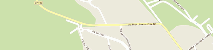 Mappa della impresa sozzi angelo a BRACCIANO