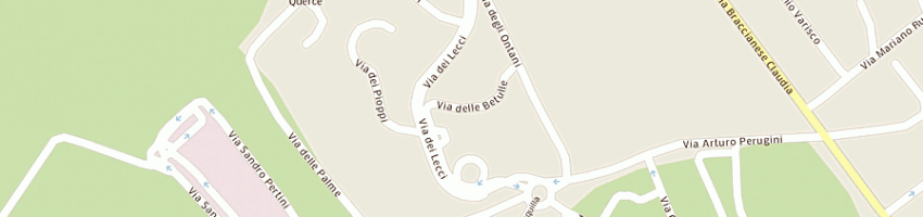 Mappa della impresa rossini sandro a BRACCIANO