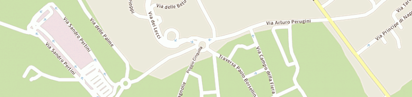 Mappa della impresa rachele sas a BRACCIANO