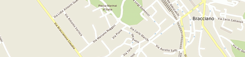Mappa della impresa istituto tecnico commerciale a BRACCIANO