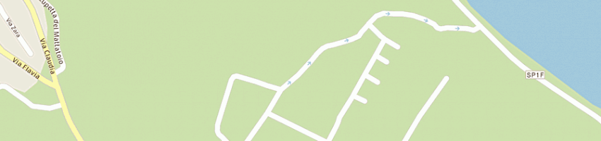 Mappa della impresa palazzini patrizia a BRACCIANO
