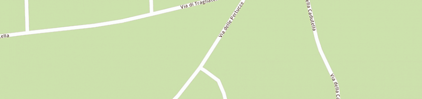 Mappa della impresa dieffe commercio bestiame snc di darini fabio e c a FIUMICINO