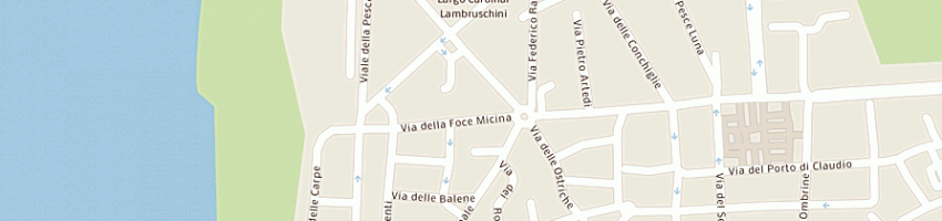 Mappa della impresa cesarini berardino a FIUMICINO