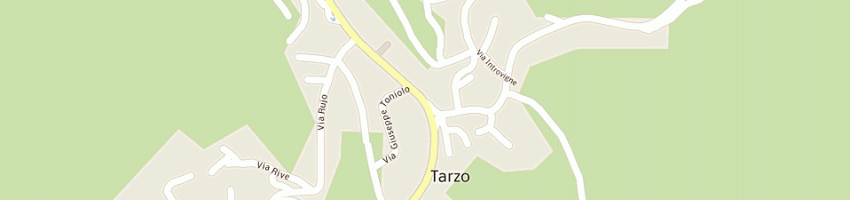 Mappa della impresa introvigne vincenzo a TARZO