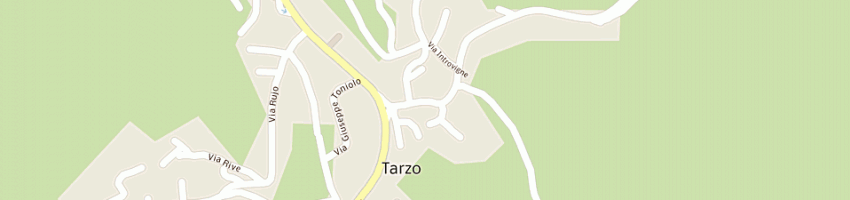 Mappa della impresa dfi di astolfi diego a TARZO