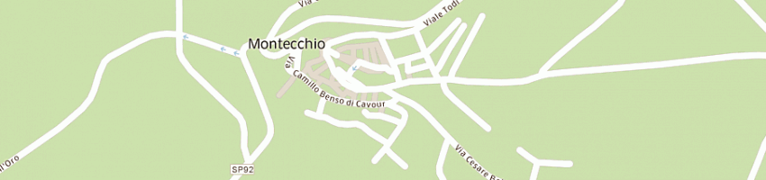 Mappa della impresa alimentari pacifici di umberto pacifici e c snc a MONTECCHIO
