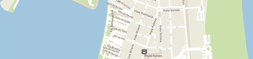 Mappa della impresa uniemme snc a VENEZIA