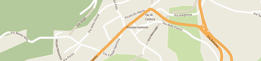 Mappa della impresa torazzi gabriella a PIEVE DI CADORE