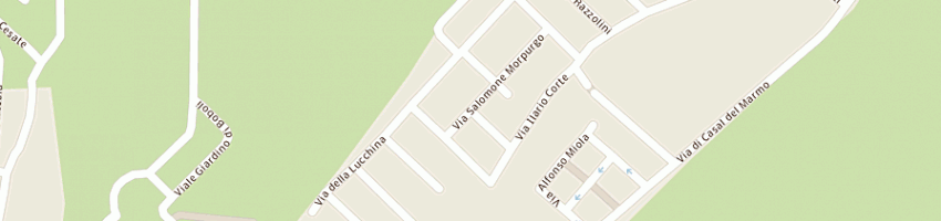 Mappa della impresa tecnoprocess srl a ROMA