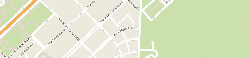 Mappa della impresa autoservice carpazi srl a ROMA