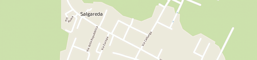 Mappa della impresa pezzutto maurizio a SALGAREDA