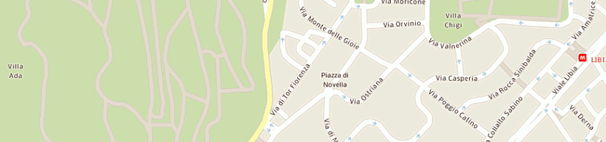 Mappa della impresa distributrice libraria laziale srl a ROMA