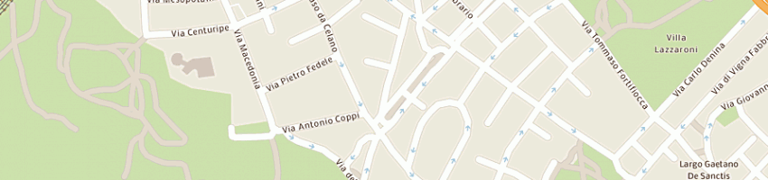 Mappa della impresa pizzavolante srl a ROMA
