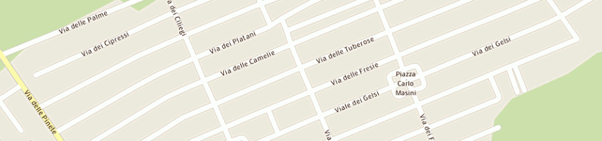 Mappa della impresa comune a ANZIO