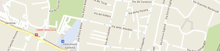 Mappa della impresa centro culturale e di formazione parco degli ulivi arduini srl a ROMA