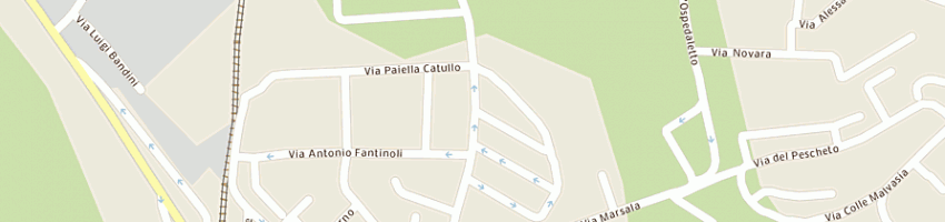 Mappa della impresa caucci market snc di caucci fabio ugo e c a MARINO