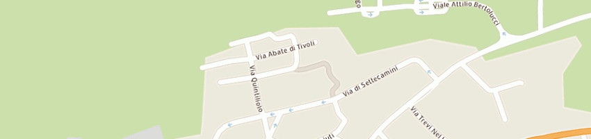 Mappa della impresa amigos sas di silvia russ cribillero araujo a ROMA