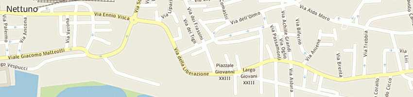 Mappa della impresa di giulio aldo a NETTUNO