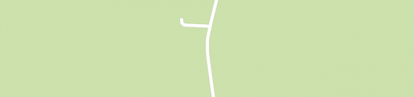 Mappa della impresa foresto giuseppe a TORRE DI MOSTO