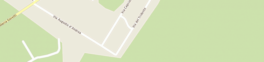 Mappa della impresa plasmec srl a NETTUNO