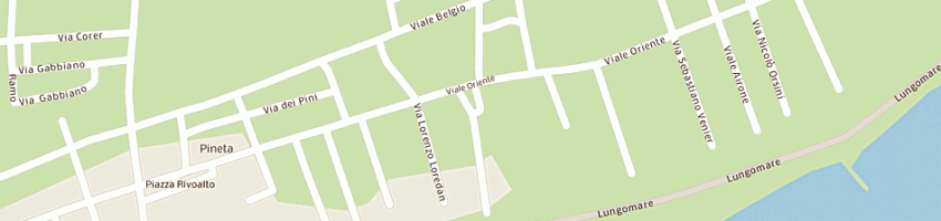 Mappa della impresa pizzeria da narciso a IESOLO