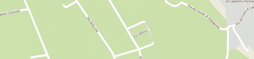 Mappa della impresa intergraph italia llc a ROMA