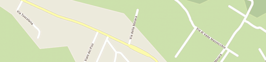 Mappa della impresa antonucci anna lena a MONTE COMPATRI