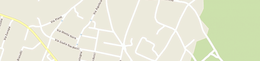 Mappa della impresa tomaselli sergio a SAN DANIELE DEL FRIULI