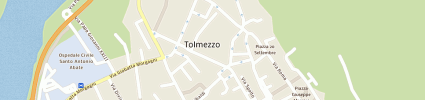 Mappa della impresa elabor carnia (srl) a TOLMEZZO