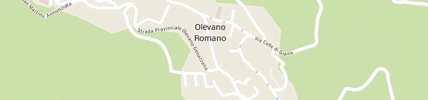 Mappa della impresa micocci pietro a OLEVANO ROMANO