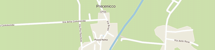Mappa della impresa damiano mariussi srl a PRECENICCO
