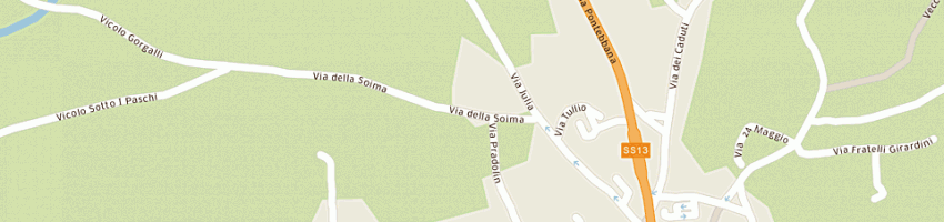 Mappa della impresa latteria sociale intercomunale di tricesimo soccoop arl a TRICESIMO