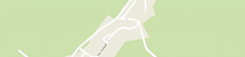 Mappa della impresa castellini maurizio a CAMERATA PICENA