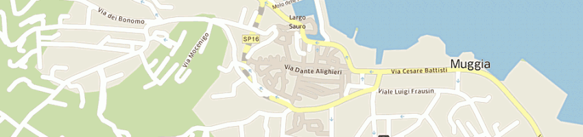 Mappa della impresa matteoni federico a MUGGIA