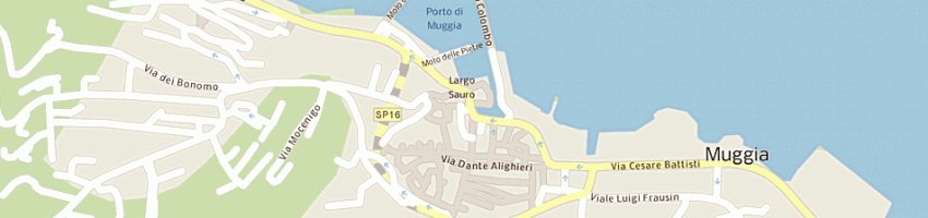 Mappa della impresa radio amulia di strain michele a MUGGIA