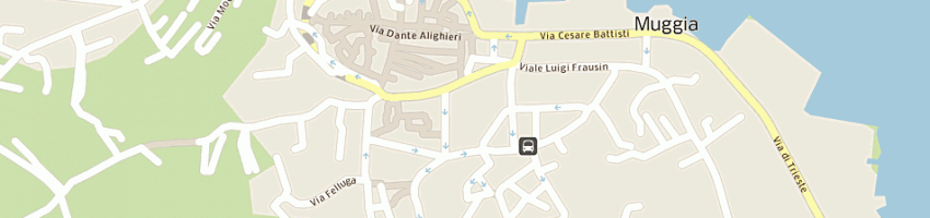 Mappa della impresa aurelio braini - snc di ing oliviero braini e c a MUGGIA