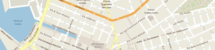 Mappa della impresa centro trieste di riabilitazione motoria srl a TRIESTE