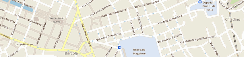 Mappa della impresa top service di stefano figliolia e c sas a TRIESTE