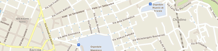 Mappa della impresa pisolo snc di bezzi andrea a TRIESTE