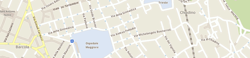 Mappa della impresa netengine di massimo petrossi a TRIESTE