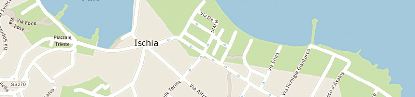 Mappa della impresa tutto per la casa a ISCHIA