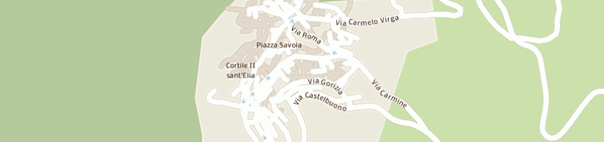 Mappa della impresa salumi passavia di a e g passavia snc a PALERMO