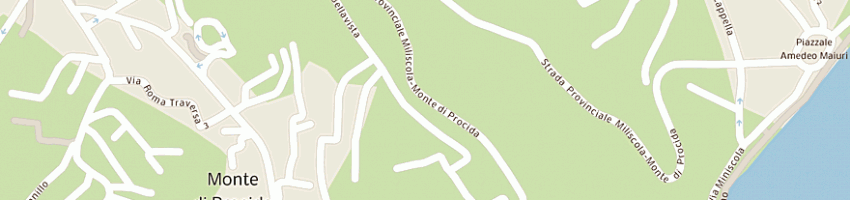 Mappa della impresa vecchioli pietro a MONTE DI PROCIDA