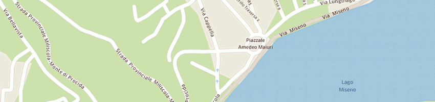Mappa della impresa i parrucchieri 2 sas di scotto di frega c e scotto di covella m e c a MONTE DI PROCIDA