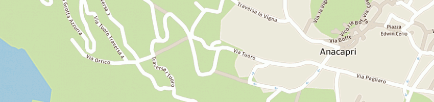 Mappa della impresa braibanti nicoletta a ANACAPRI