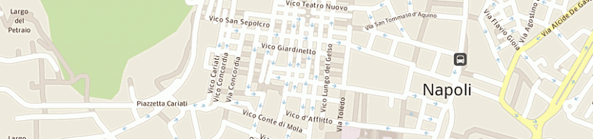 Mappa della impresa la vittoria iii soc coop a NAPOLI