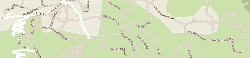Mappa della impresa albergo la minerva a CAPRI